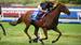 Mick’s Mail: Caulfield (Heath Track)