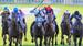 Youth Reigns in the 2024 Doncaster Mile! Who’ll seize the coveted victory among the 3YOs?! – with Chris Scholtz