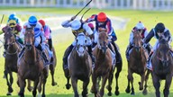 Sydney Doncaster Mile
